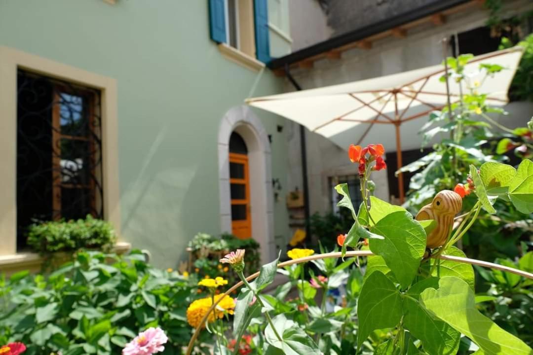 Апартаменти La Casa Dei Ciclisti Понті-суль-Мінчіо Екстер'єр фото